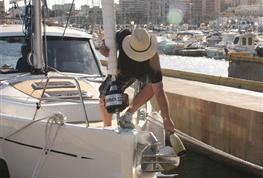 Albatross 42
