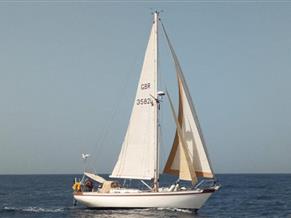 Tradewind 35