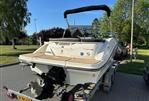 SEA RAY SEA RAY 230 SPX