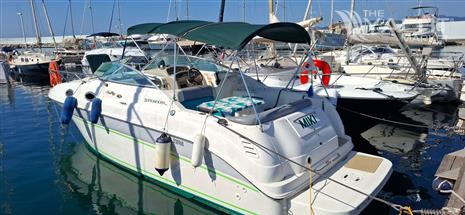 SEA RAY SUNDANCER 260