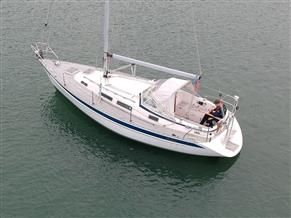 Hallberg Rassy 31