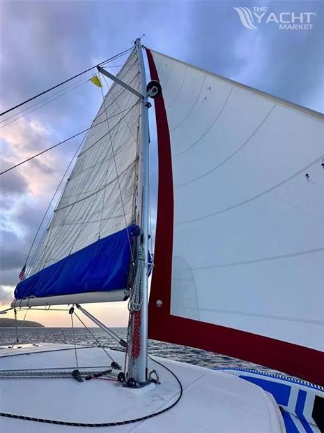 Leopard 40