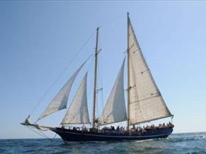 CUSTOM BALTIMORE SCHOONER