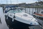 SEA RAY SUNDANCER 255