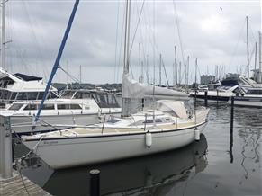 Dehler 34 Top nova