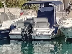 BOSTON WHALER DAUNTLESS 220