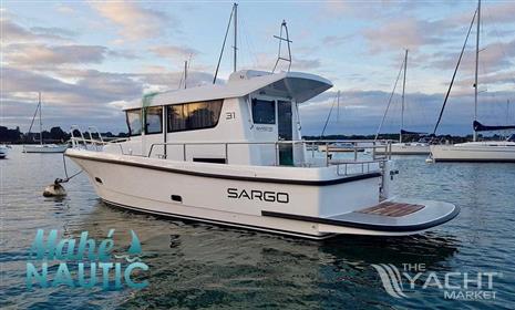 SARGO SARGO 31