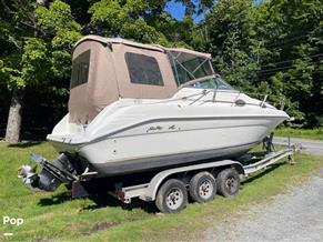 Sea Ray 250 EC