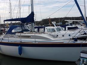 Westerly Tempest 31