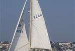 Buchanan 41 - White sails