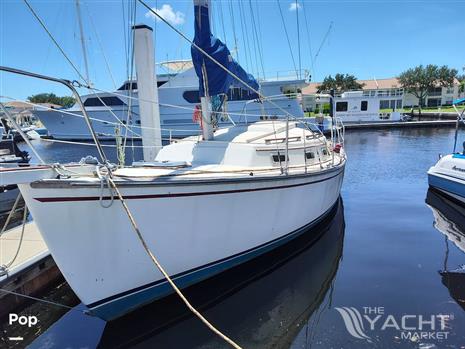 Island Packet 26 MKII - 1984 Island Packet 26 MKII - Photo #1