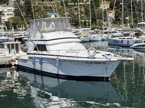 BERTRAM 46