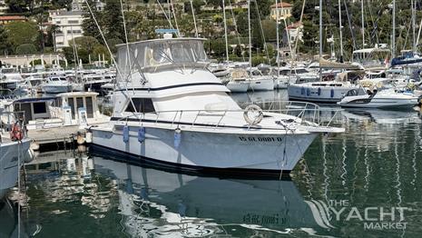 BERTRAM 46