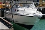 BOSTON WHALER CONQUEST 305