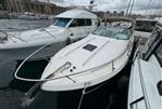 SEA RAY SUNDANCER 290
