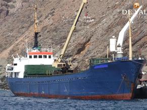 Bulk Cargo Ship 68 m