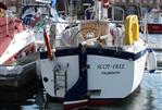 Freedom 30