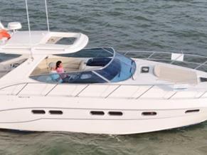 Sealine S43