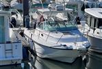 BOSTON WHALER CONQUEST 275