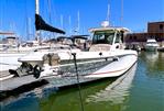 BOSTON WHALER OUTRAGE 370