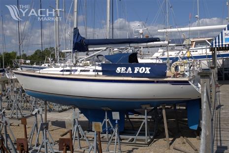 Westerly Typhoon 37