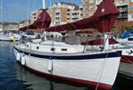 Freedom 30