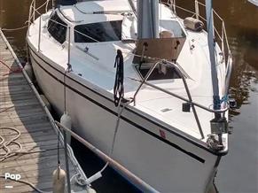Hunter Vision 32
