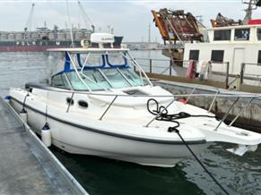 BOSTON WHALER CONQUEST 285