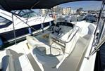 White Shark 225