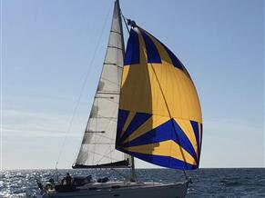 Bavaria 37