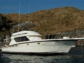 HATTERAS HATTERAS 50 CONVERTIBILE