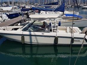 Boston Whaler 270 Vantage