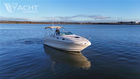 Sea Ray 240 Sundancer