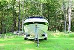 Crownline 236 CR