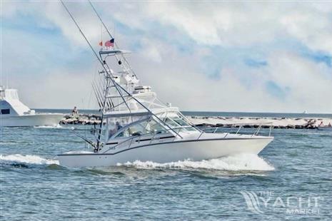 Carolina Classic 35 Express