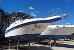 SEA RAY SUNDANCER 250