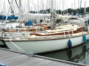 Warrior 35