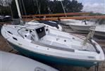 Cornish Crabbers Shrimper 21