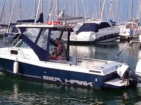 CHRIS CRAFT SEA HAWK 215