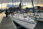 Gib Sea 312