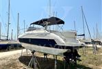 Cranchi Endurance 33
