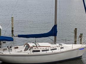 Catalina 36