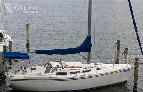 Catalina 36