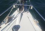 Beneteau Oceanis 41