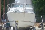 Larson 240 Cabrio - 2004 Larson 240 Cabrio - Photo #2
