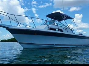 Wellcraft 230 Sportsman