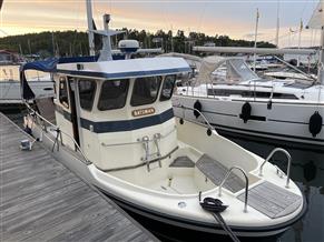 Other motorboats  Triton 25