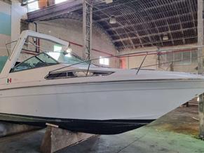 SEA RAY SUNDANCER 250