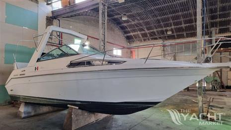 SEA RAY SUNDANCER 250