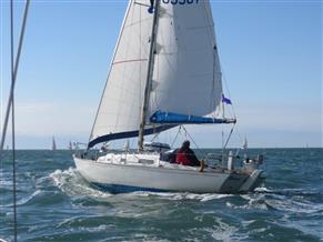 Contessa 26